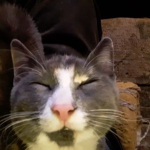 Meet your Posher, Alan